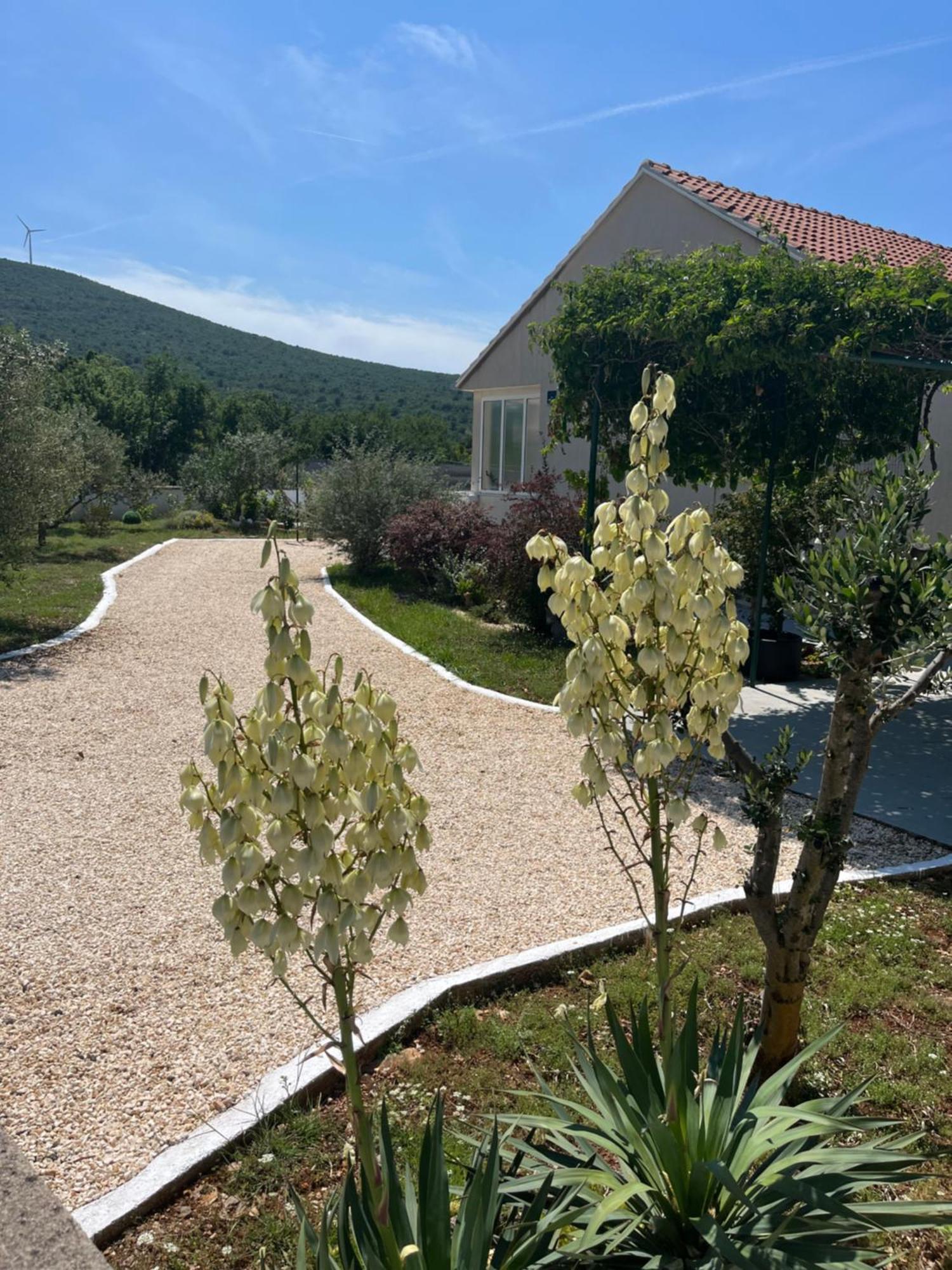 Mediterranean Olive Waterfallskrka-Croatia Villa Gulin Eksteriør bilde